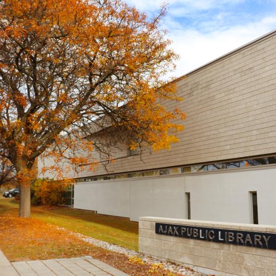 Exterior of Main Branch from Harwood Avenue sidewalk, during fall.